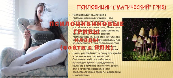 амфетамин Абинск