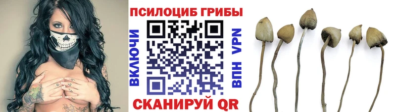 Псилоцибиновые грибы MAGIC MUSHROOMS купить закладку Костерёво